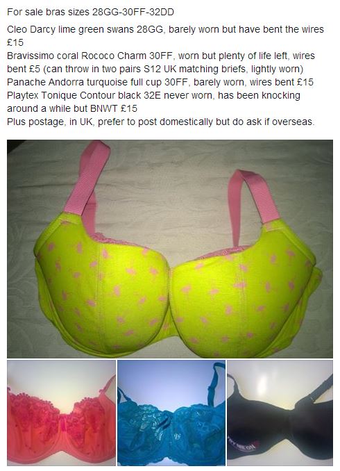 Exemple d'annonce sur le groupe Facebook Clothes for Boobs